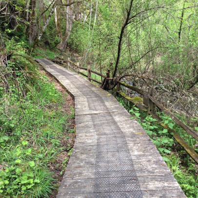 Boardwalk with no edge protection along creek